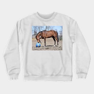 Handsome Crewneck Sweatshirt